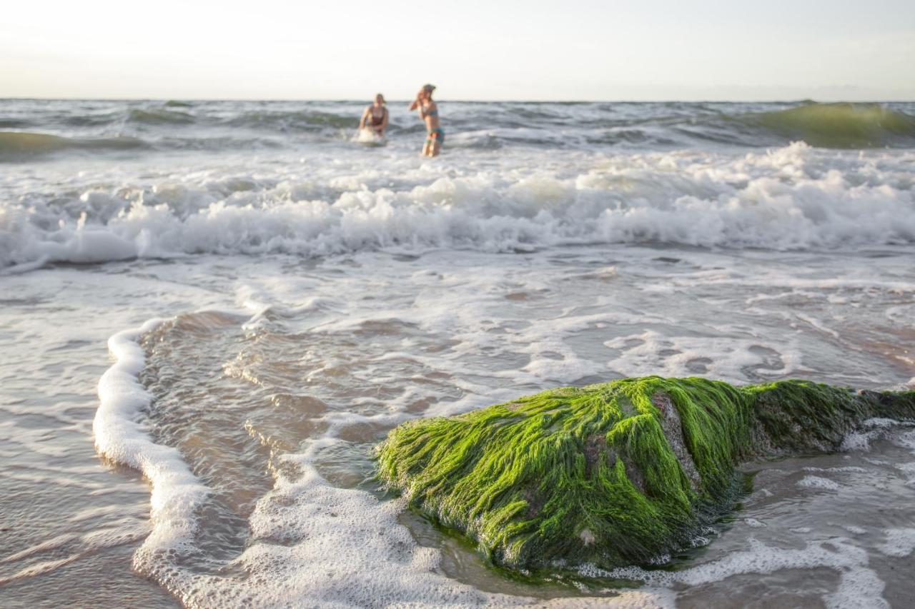 Fajnemorze - Szwedzkie Debina (Ustka)